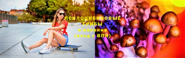 гидра Абаза