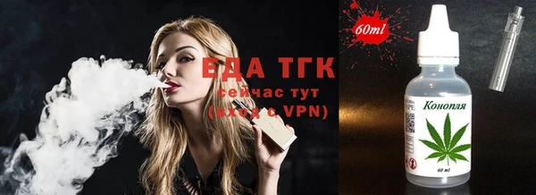 гидра Абаза