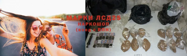 гидра Абаза