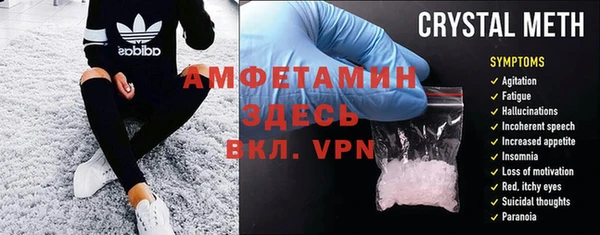 гидра Абаза