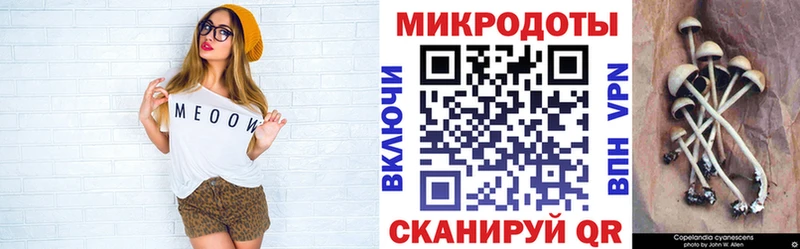 Галлюциногенные грибы Psilocybine cubensis  Псков 